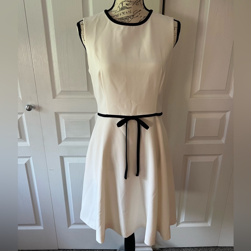 NWT Ted Baker Dress